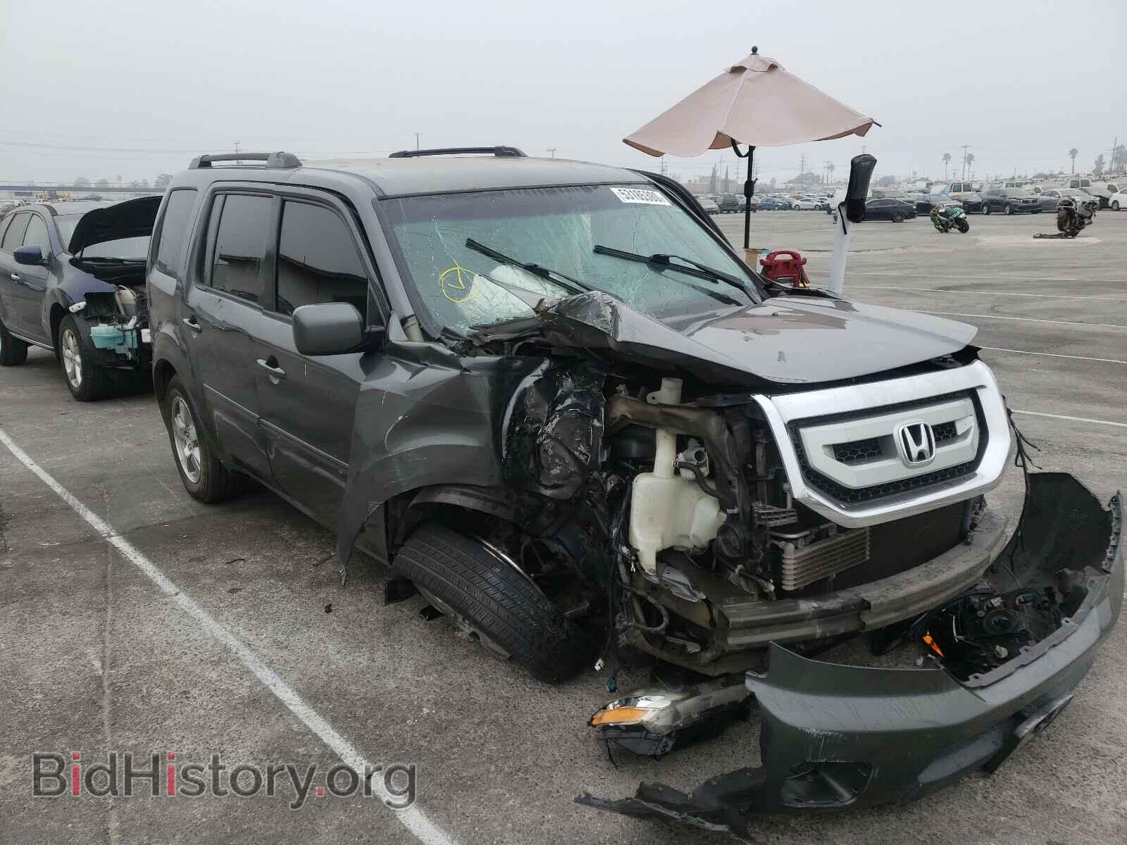 Фотография 5FNYF38419B022629 - HONDA PILOT 2009