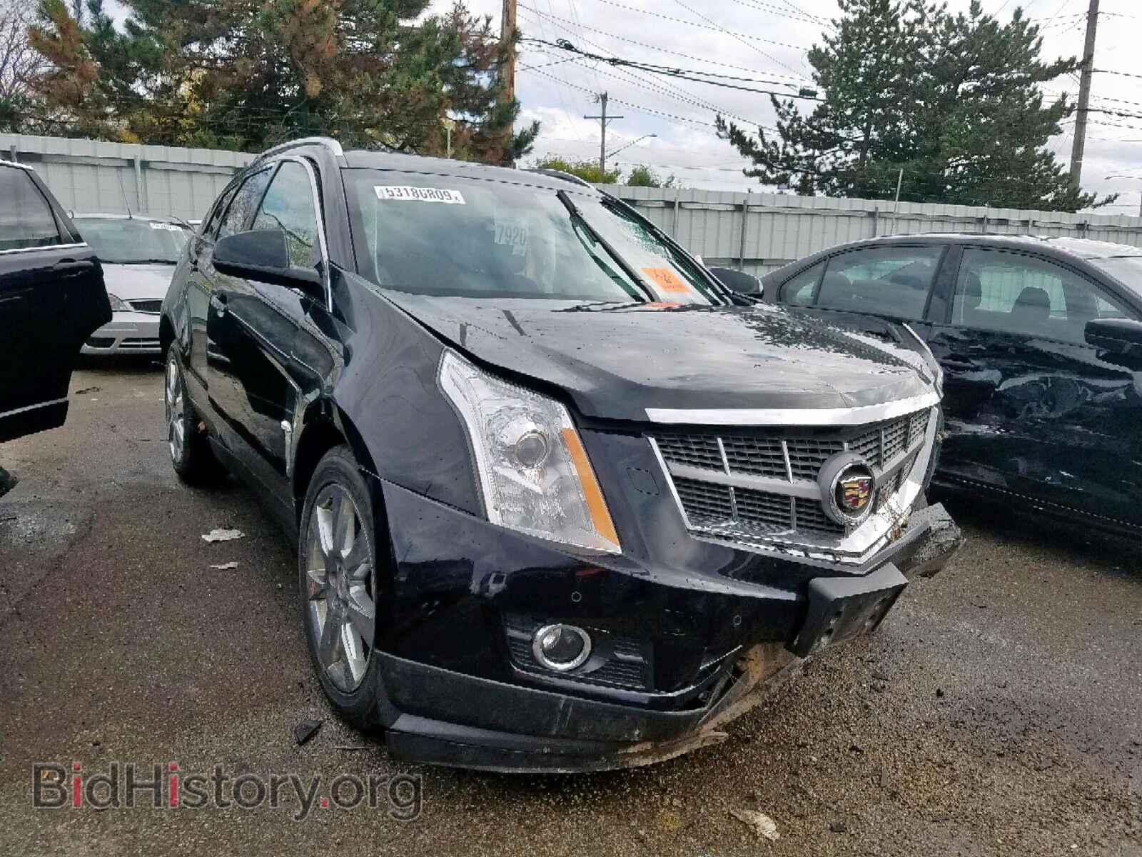 Фотография 3GYFNEE34CS562146 - CADILLAC SRX PERFOR 2012