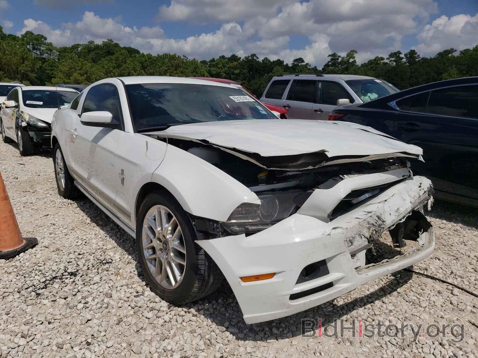 Photo 1ZVBP8AM9E5332241 - FORD MUSTANG 2014