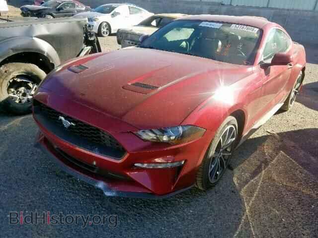 2019 FORD MUSTANG - VIN: 1FA6P8TH0K5172482 - Фото 2