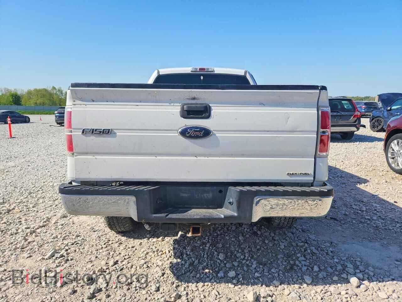 2014 FORD F150 - VIN: 1FTFX1EF5EKG25160 - Фото 6