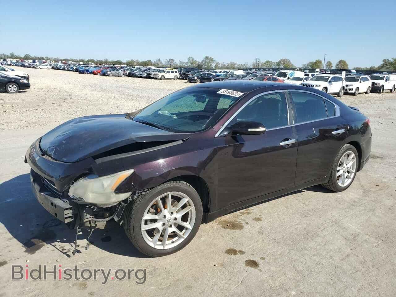 Фотография 1N4AA5AP7BC835000 - NISSAN MAXIMA 2011