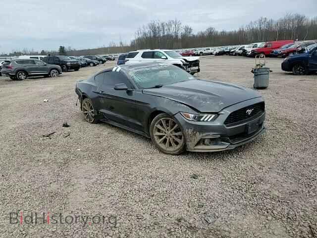 2017 FORD ALL Models - VIN: 1FA6P8TH1H5219818 - Photo 14