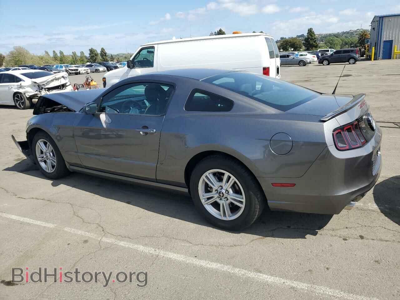 2013 FORD ALL Models - VIN: 1ZVBP8AM3D5224342 - Фото 2