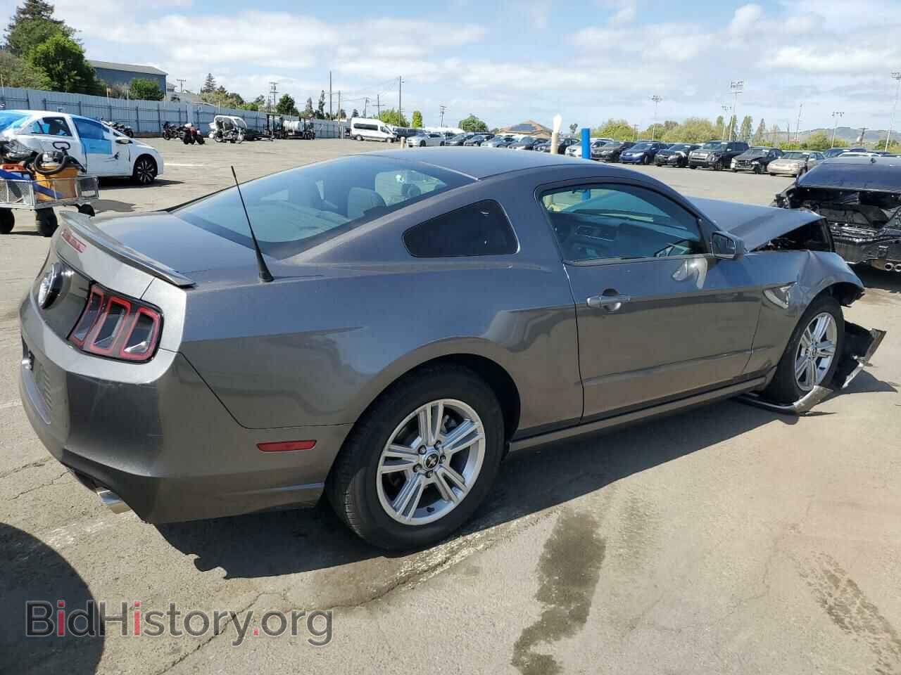 2013 FORD ALL Models - VIN: 1ZVBP8AM3D5224342 - Фото 3