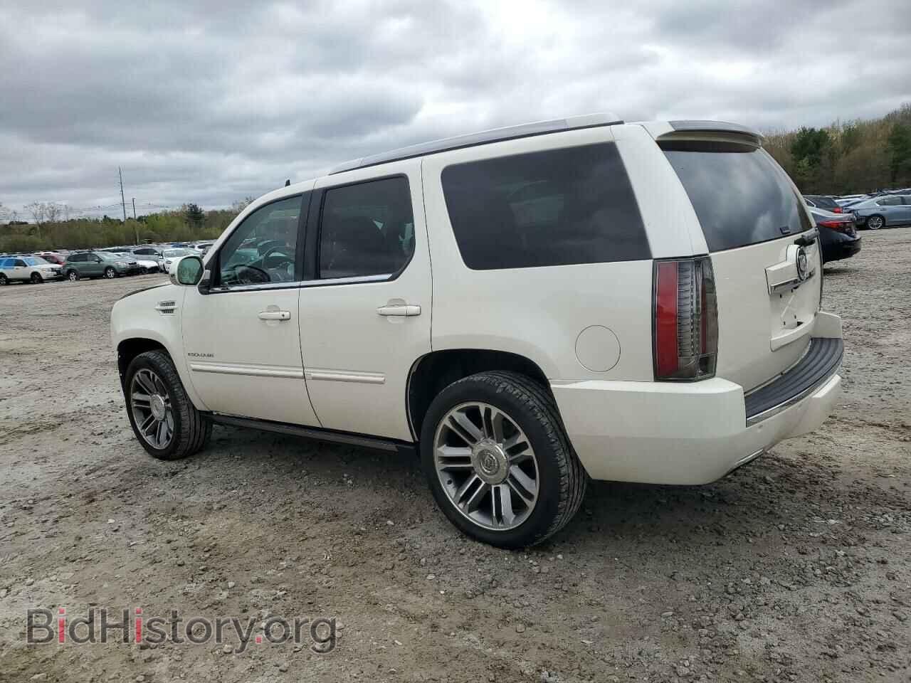 2013 CADILLAC ESCALADE - VIN: 1GYS4CEF5DR247098 - Фото 2
