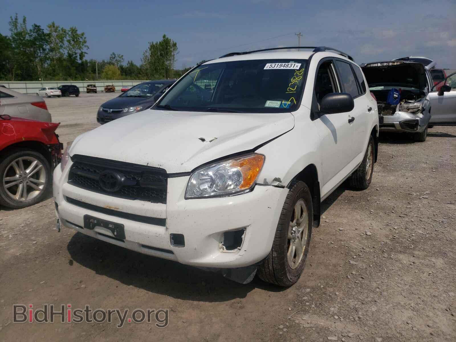 2011 TOYOTA RAV4 - VIN: 2T3BF4DV8BW152594 - Фото 2