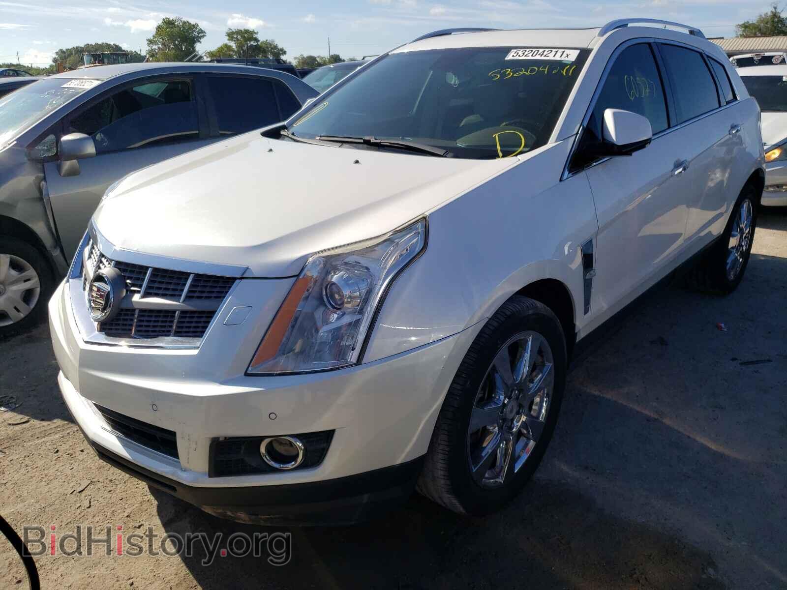 2010 CADILLAC SRX - VIN: 3GYFNBEY1AS562502 - Фото 2