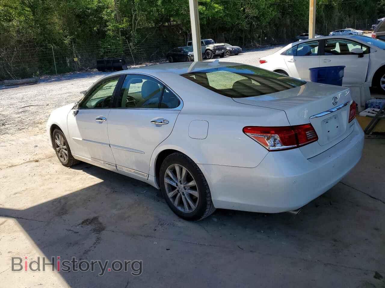 2011 LEXUS ES350 - VIN: JTHBK1EG7B2454086 - Фото 2