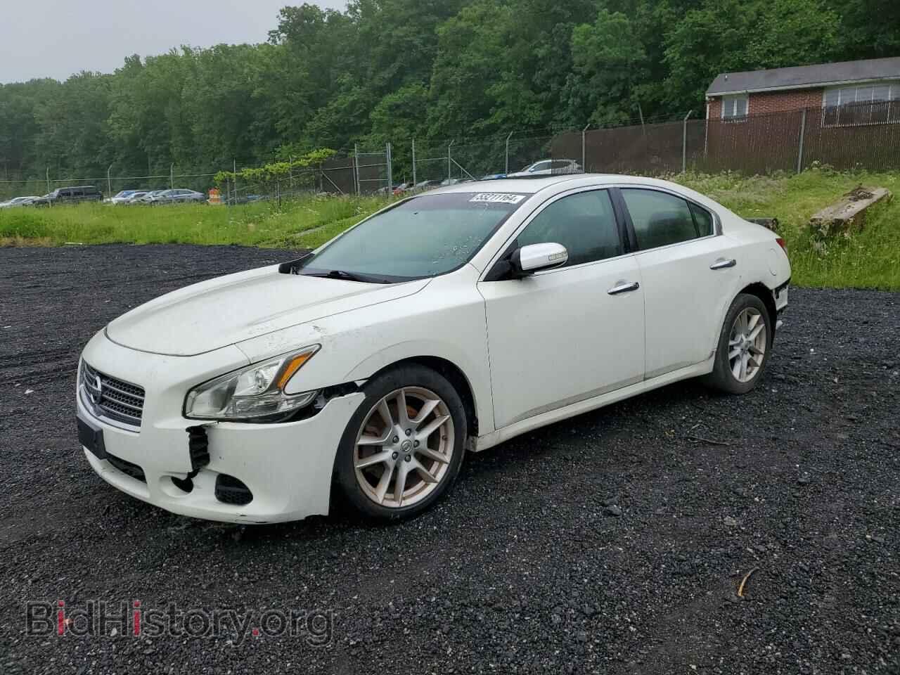 Photo 1N4AA51E89C804282 - NISSAN MAXIMA 2009