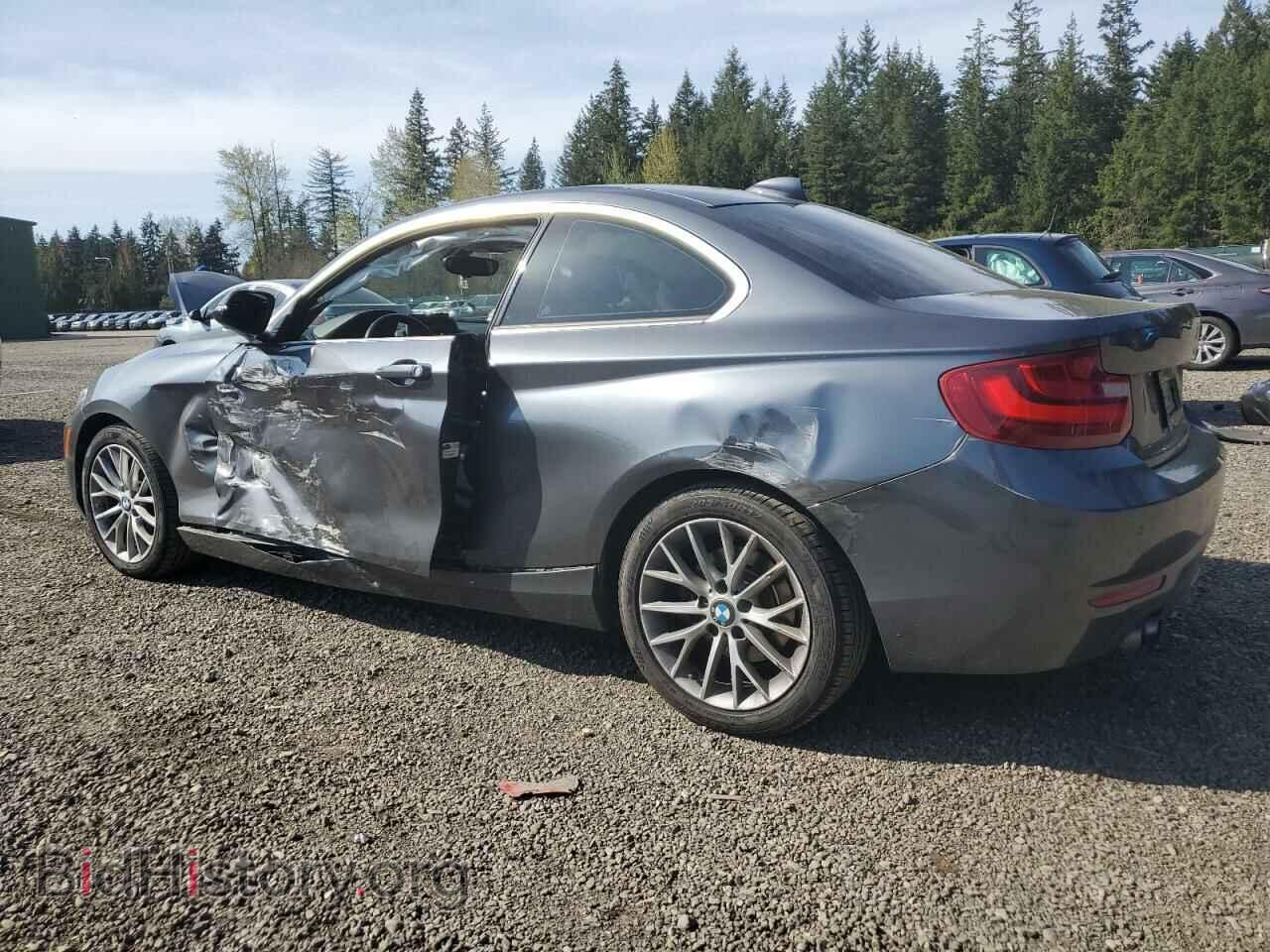 2014 BMW 2 SERIES - VIN: WBA1F5C55EV246282 - Фото 2