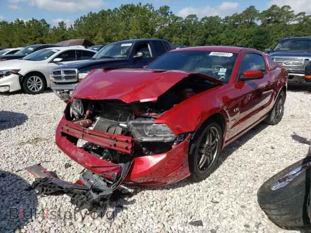 2013 FORD MUSTANG - VIN: 1ZVBP8CF4D5232044 - Фото 2