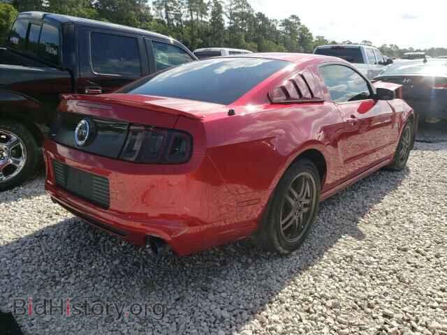 2013 FORD MUSTANG - VIN: 1ZVBP8CF4D5232044 - Фото 4