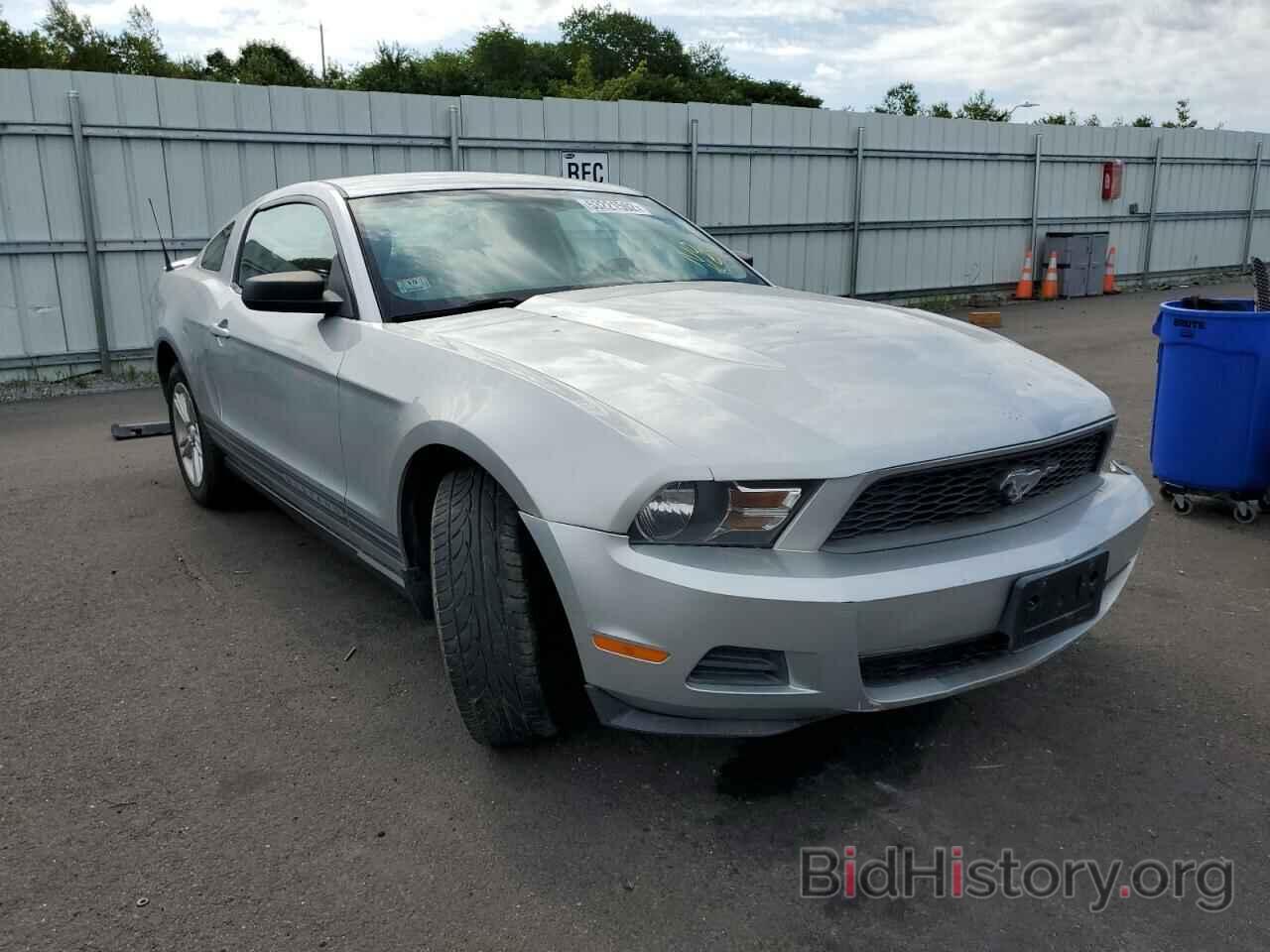 Photo 1ZVBP8AN8A5131045 - FORD MUSTANG 2010