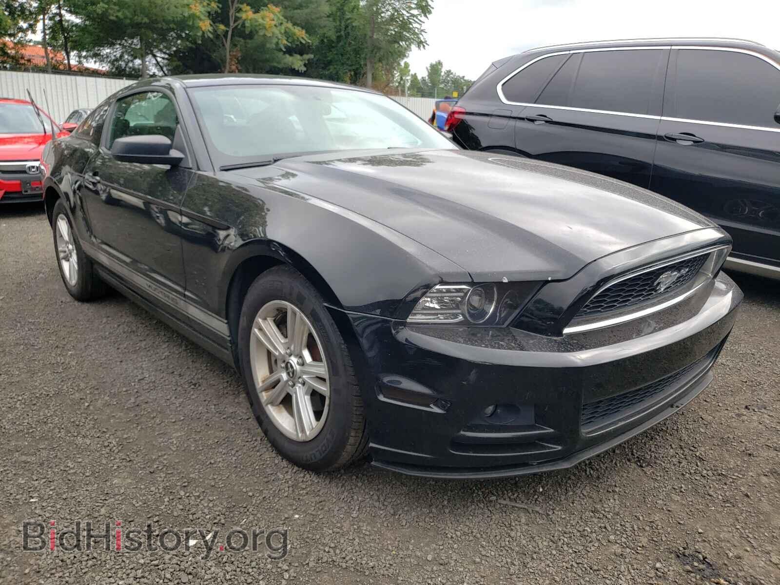 Фотография 1ZVBP8AM4D5200440 - FORD MUSTANG 2013