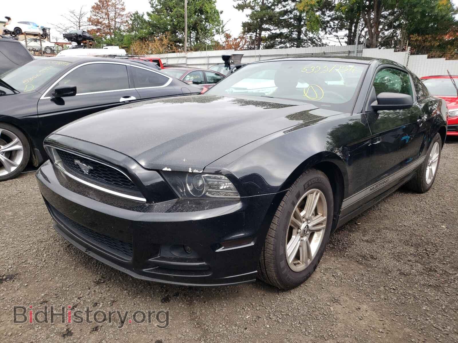 2013 FORD MUSTANG - VIN: 1ZVBP8AM4D5200440 - Фото 2