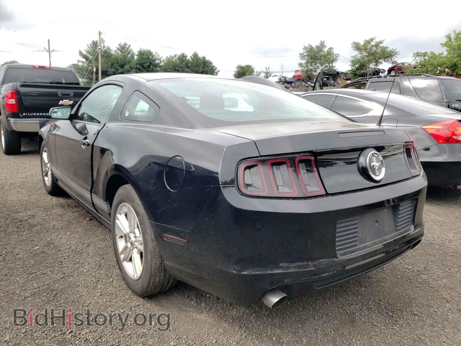2013 FORD MUSTANG - VIN: 1ZVBP8AM4D5200440 - Фото 3