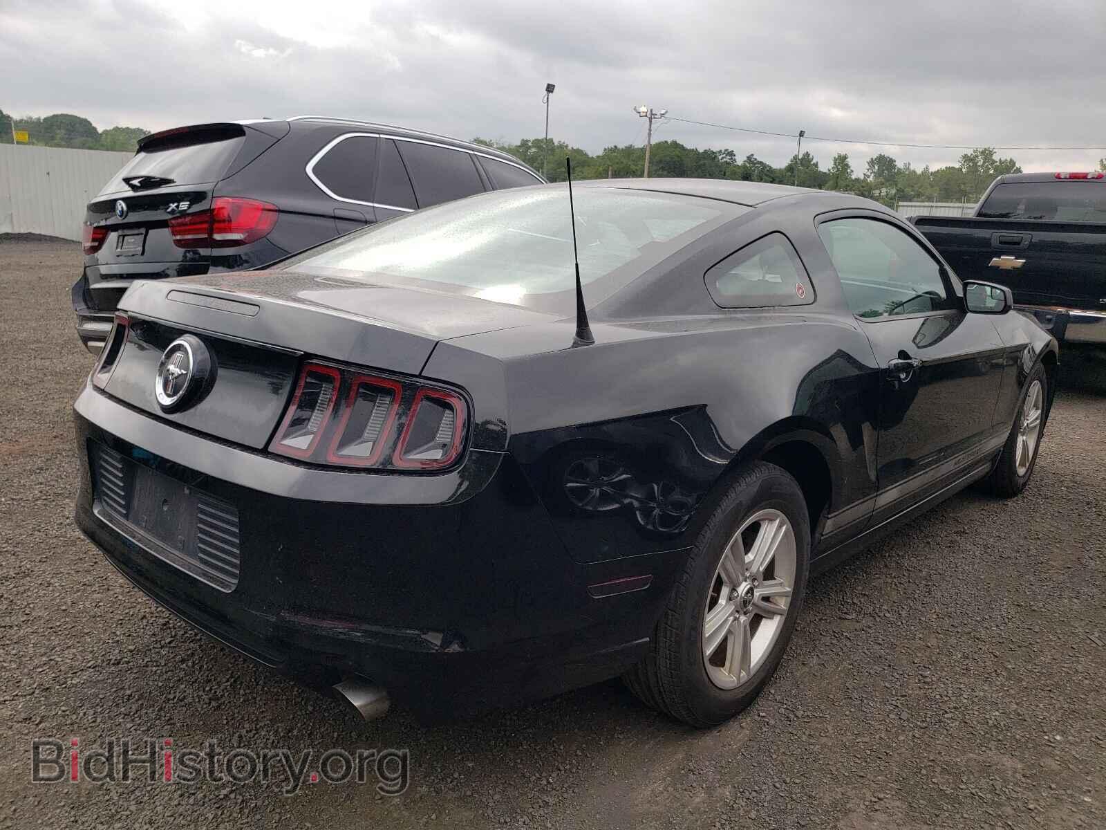 2013 FORD MUSTANG - VIN: 1ZVBP8AM4D5200440 - Фото 4