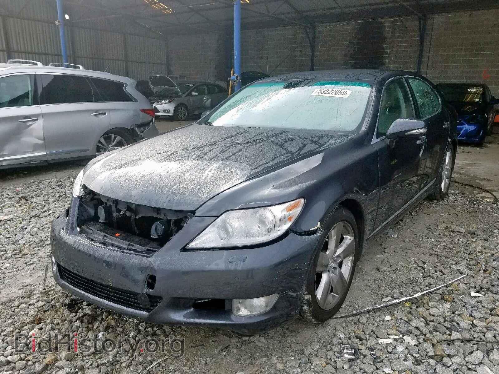 2010 LEXUS LS460 - VIN: JTHBL5EF3A5101403 - Фото 2