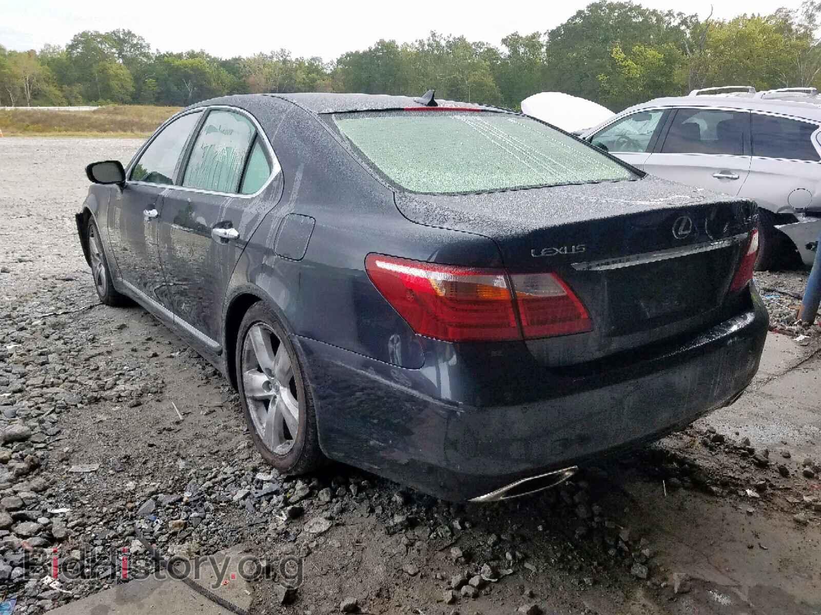 2010 LEXUS LS460 - VIN: JTHBL5EF3A5101403 - Фото 3