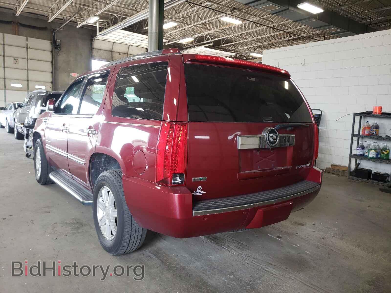 2010 CADILLAC ESCALADE - VIN: 1GYUKAEFXAR117669 - Фото 3