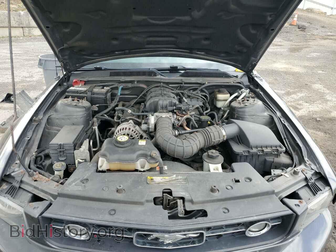 2008 FORD ALL Models - VIN: 1ZVHT80N185198331 - Photo 12