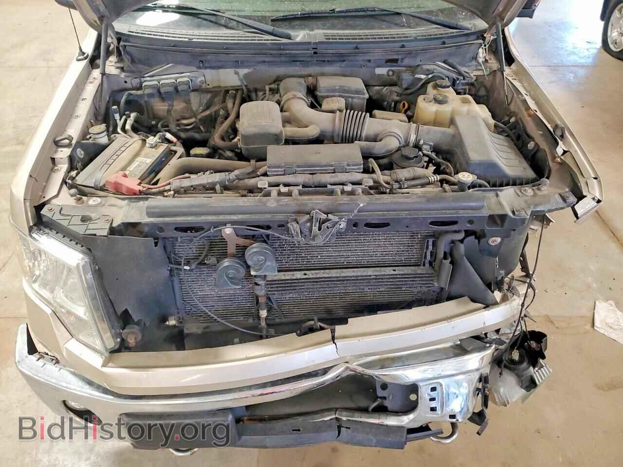 2010 FORD F150 - VIN: 1FTFW1EV7AKE60006 - Фото 11