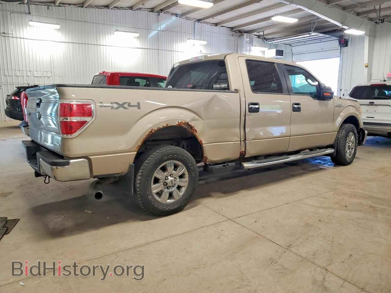 2010 FORD F150 - VIN: 1FTFW1EV7AKE60006 - Фото 3