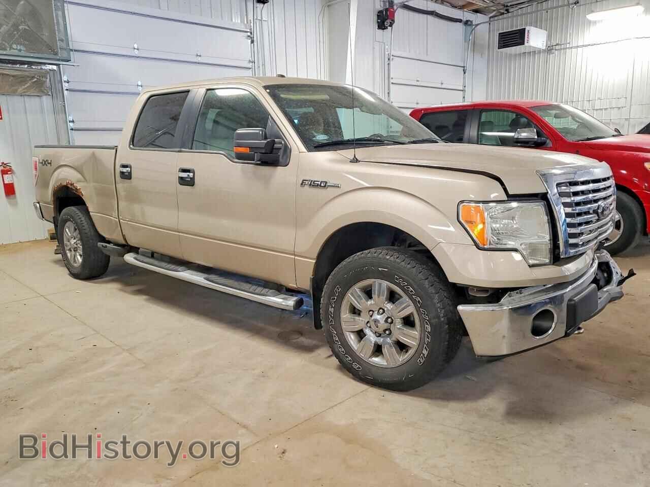 2010 FORD F150 - VIN: 1FTFW1EV7AKE60006 - Фото 4