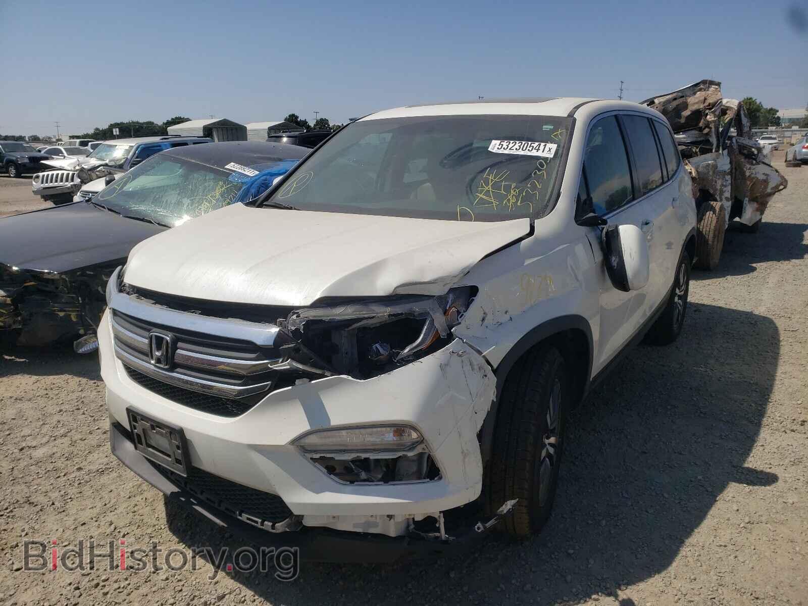 2017 HONDA PILOT - VIN: 5FNYF5H51HB004411 - Фото 2