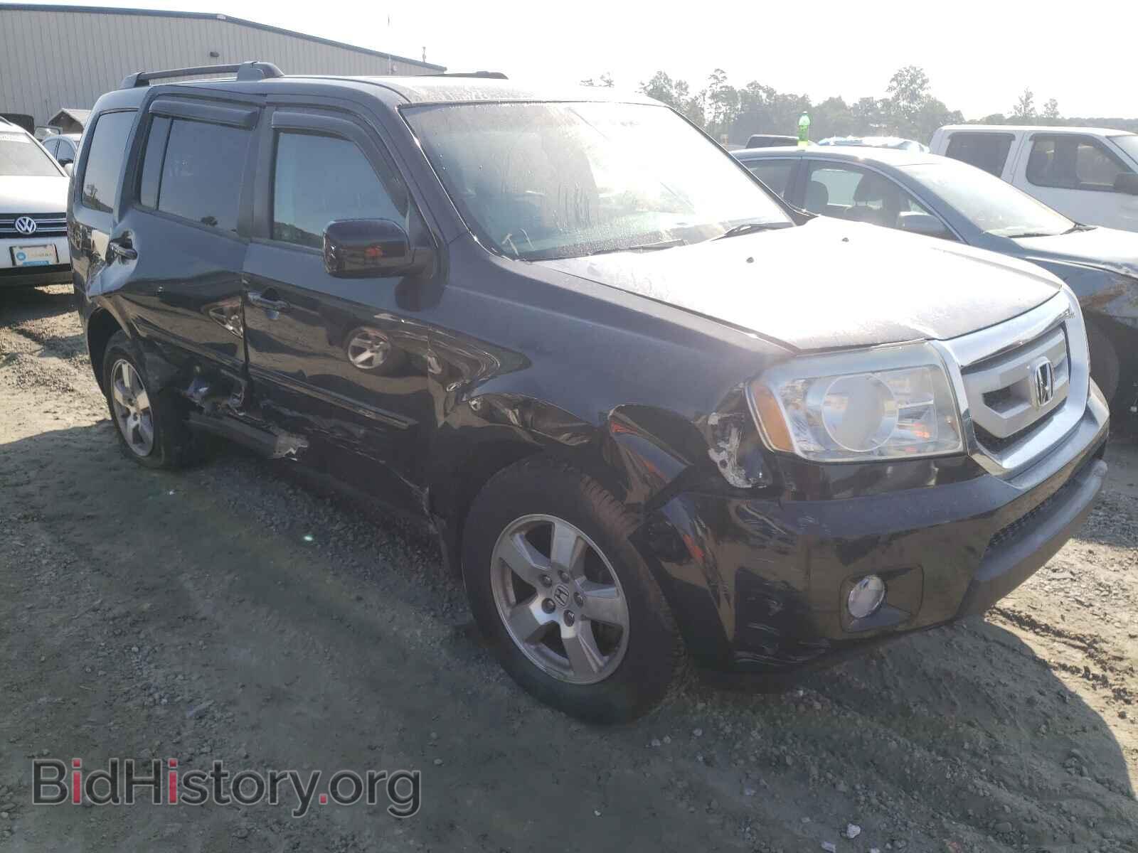 Фотография 5FNYF4H57BB064579 - HONDA PILOT 2011