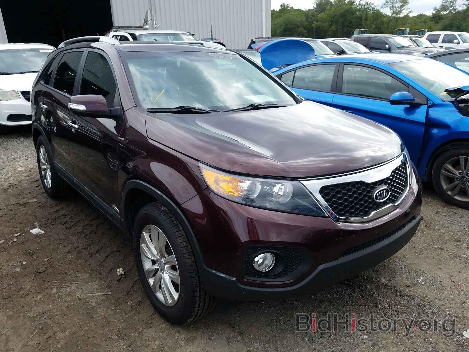 Фотография 5XYKUDA21BG059513 - KIA SORENTO 2011