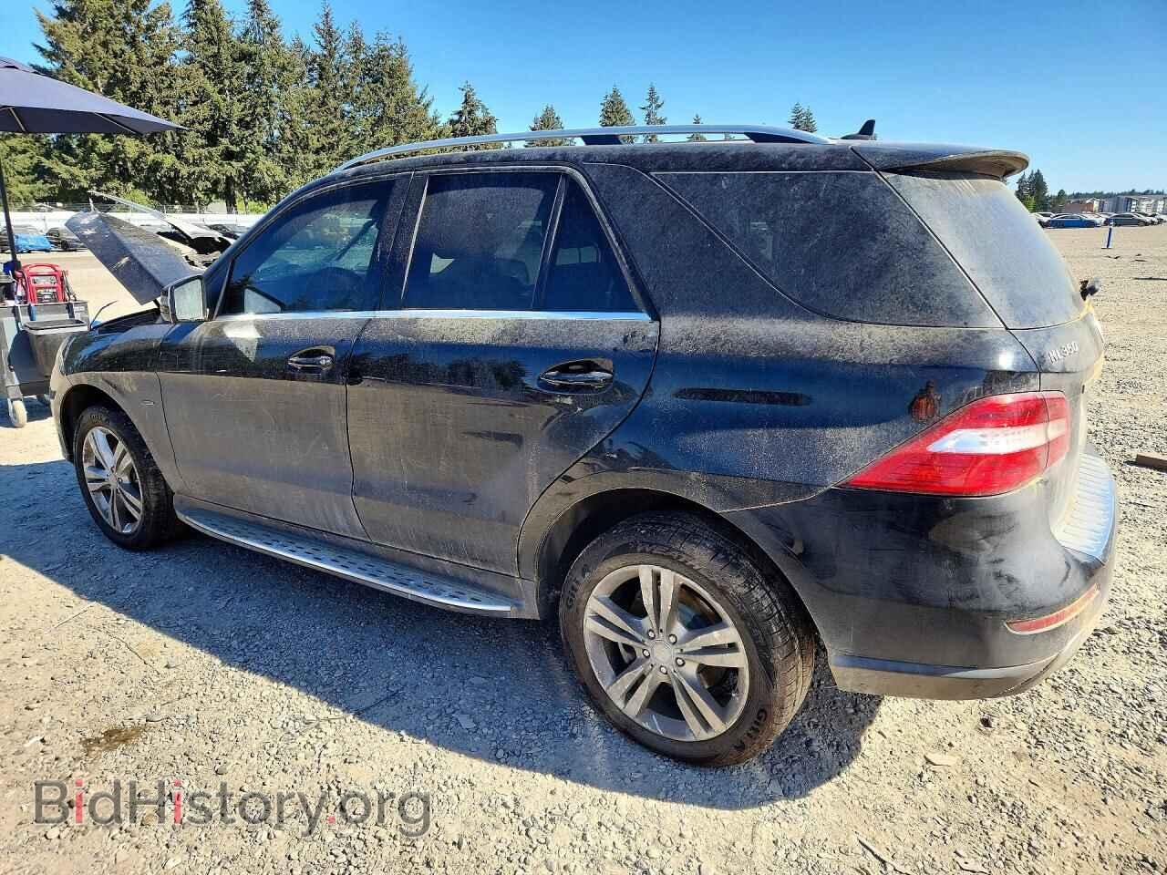2012 MERCEDES-BENZ M-CLASS - VIN: 4JGDA5HB5CA017601 - Фото 2