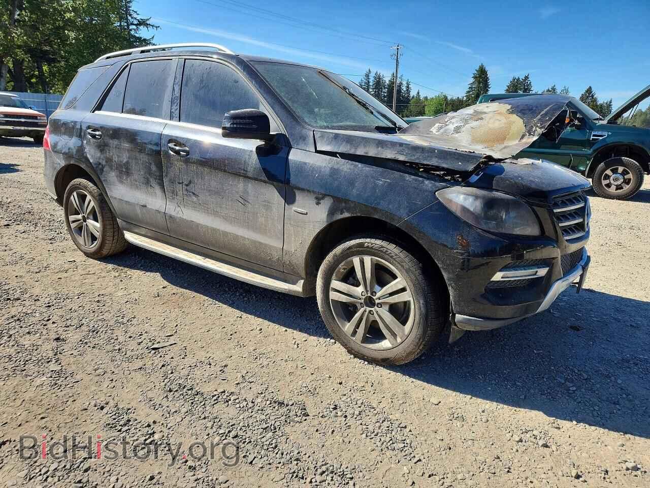 2012 MERCEDES-BENZ M-CLASS - VIN: 4JGDA5HB5CA017601 - Фото 4