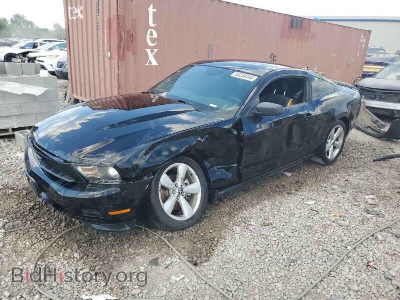 2011 Ford ALL MODELS (VIN 1ZVBP8AM1B5136578) — фото 1 из 12, Copart, повреждение: передняя часть