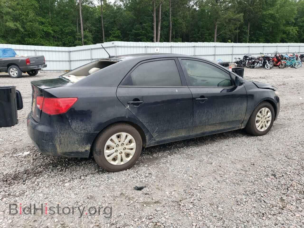 2011 KIA FORTE - VIN: KNAFU4A25B5374628 - Фото 3