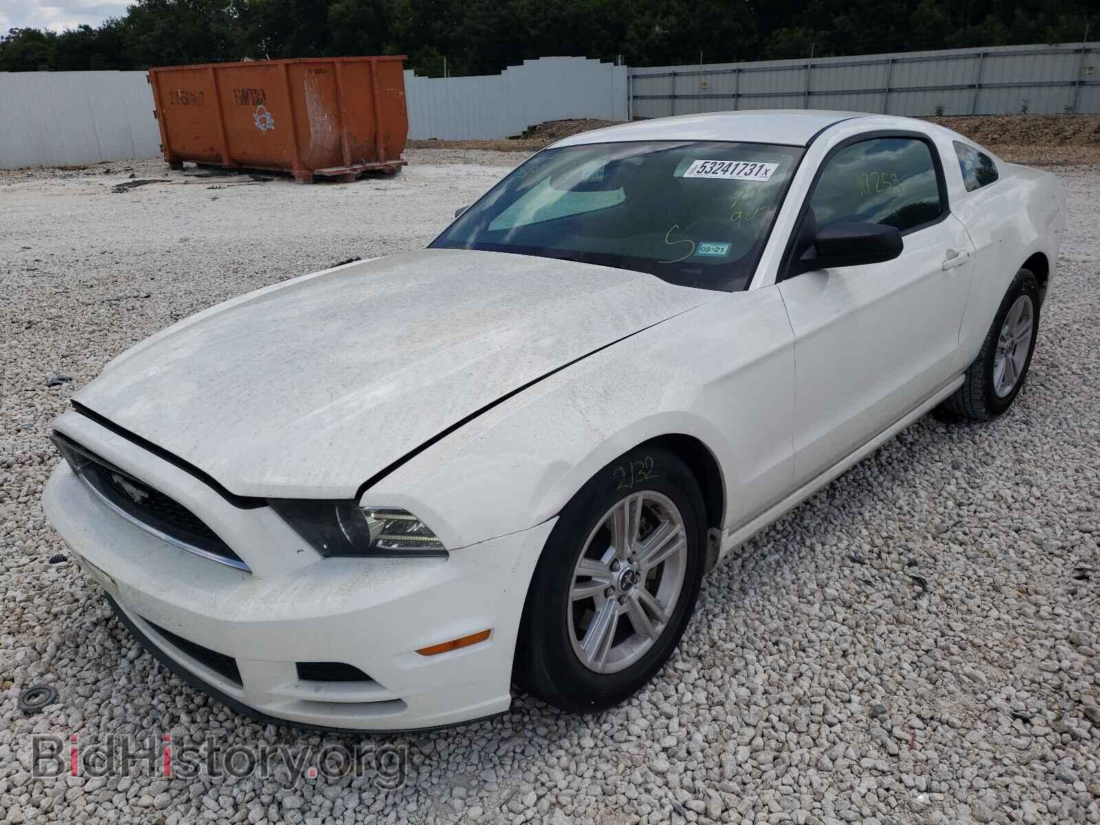 2013 FORD MUSTANG - VIN: 1ZVBP8AM8D5271947 - Фото 2