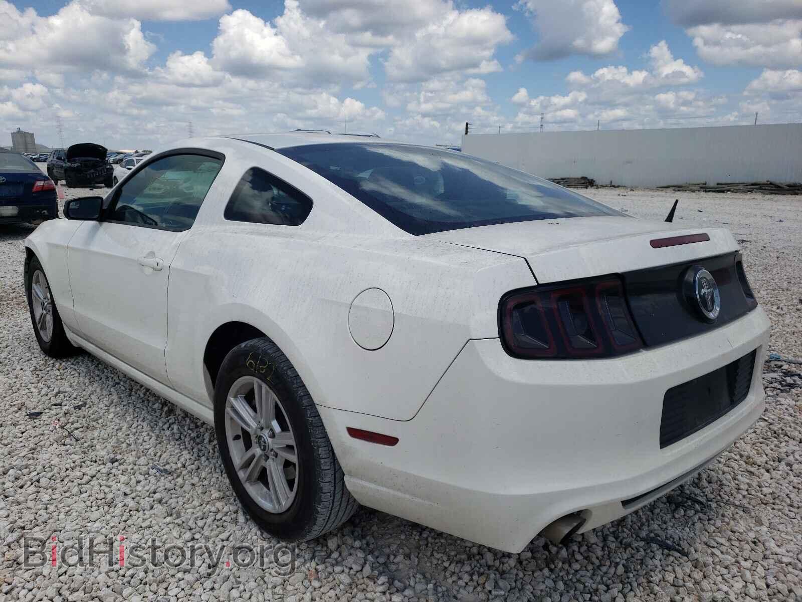 2013 FORD MUSTANG - VIN: 1ZVBP8AM8D5271947 - Фото 3