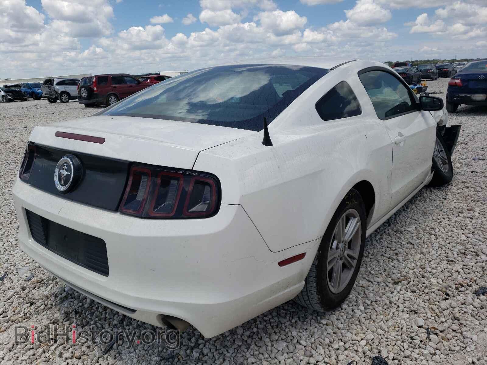2013 FORD MUSTANG - VIN: 1ZVBP8AM8D5271947 - Фото 4