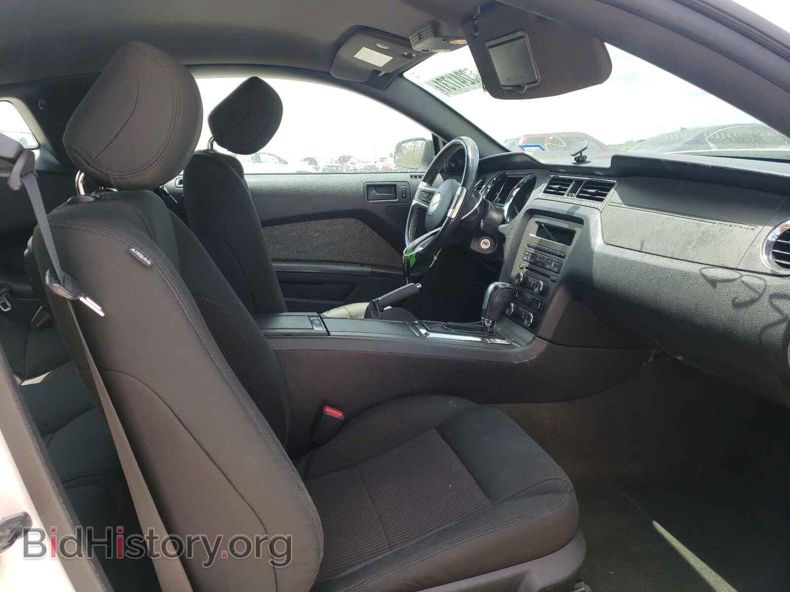 2013 FORD MUSTANG - VIN: 1ZVBP8AM8D5271947 - Фото 5