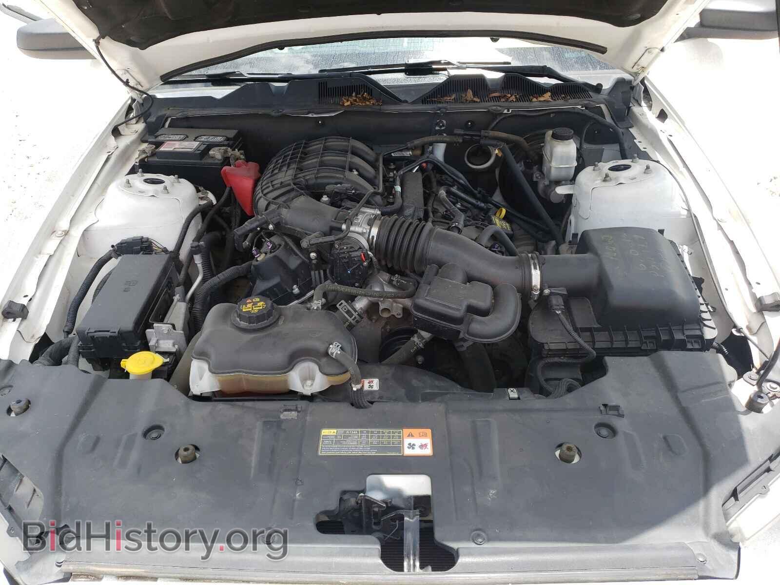 2013 FORD MUSTANG - VIN: 1ZVBP8AM8D5271947 - Фото 7