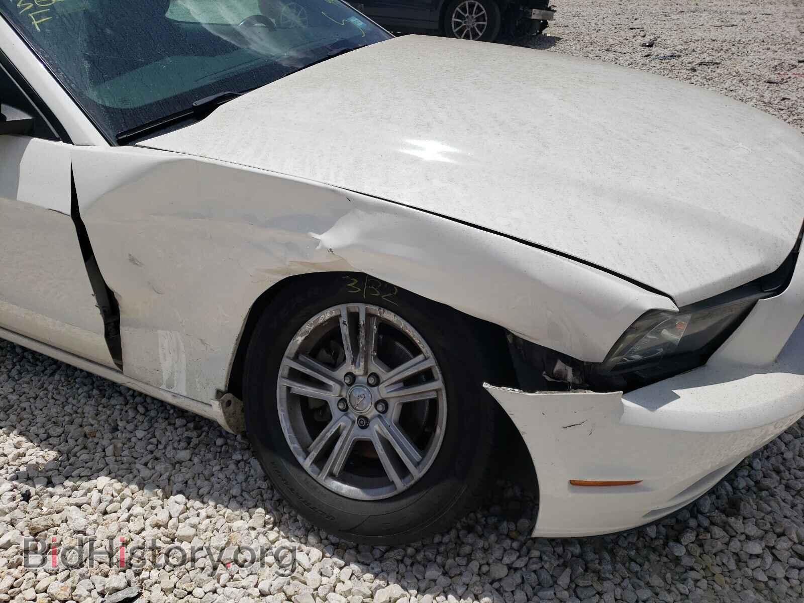 2013 FORD MUSTANG - VIN: 1ZVBP8AM8D5271947 - Фото 9