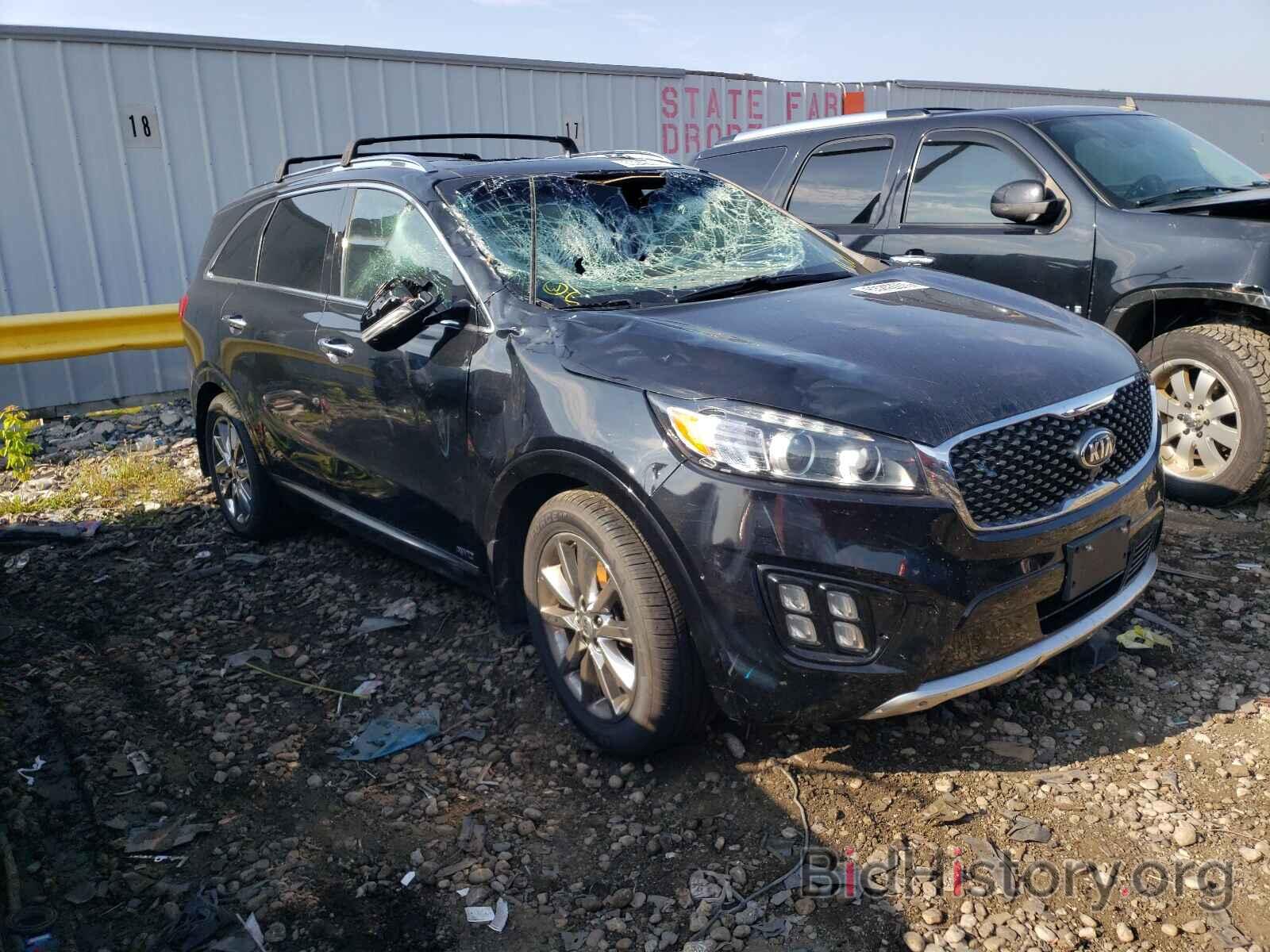 Photo 5XYPKDA53GG006714 - KIA SORENTO 2016