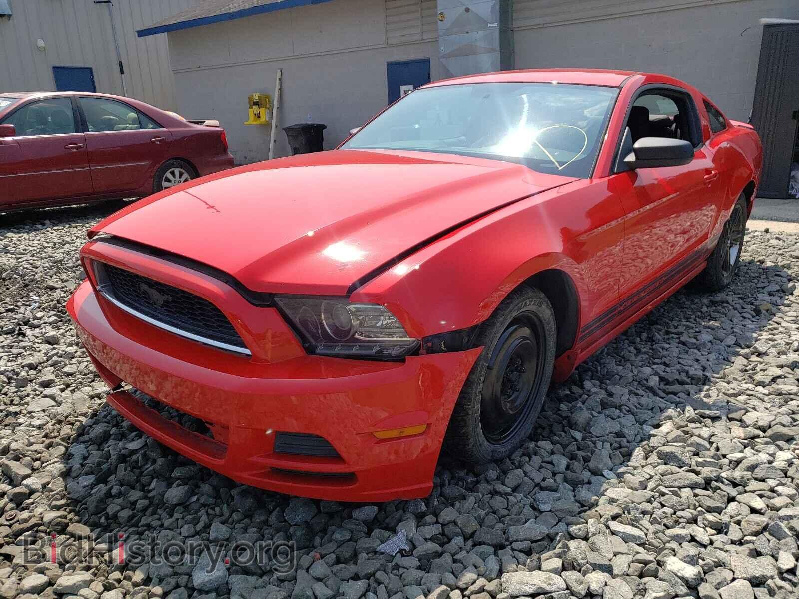 2013 FORD MUSTANG - VIN: 1ZVBP8AM8D5248734 - Фото 2