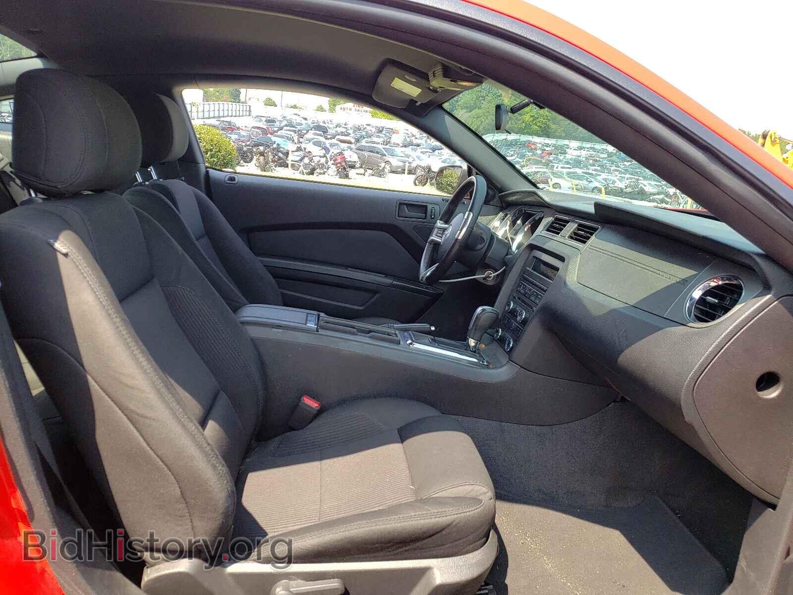 2013 FORD MUSTANG - VIN: 1ZVBP8AM8D5248734 - Фото 5