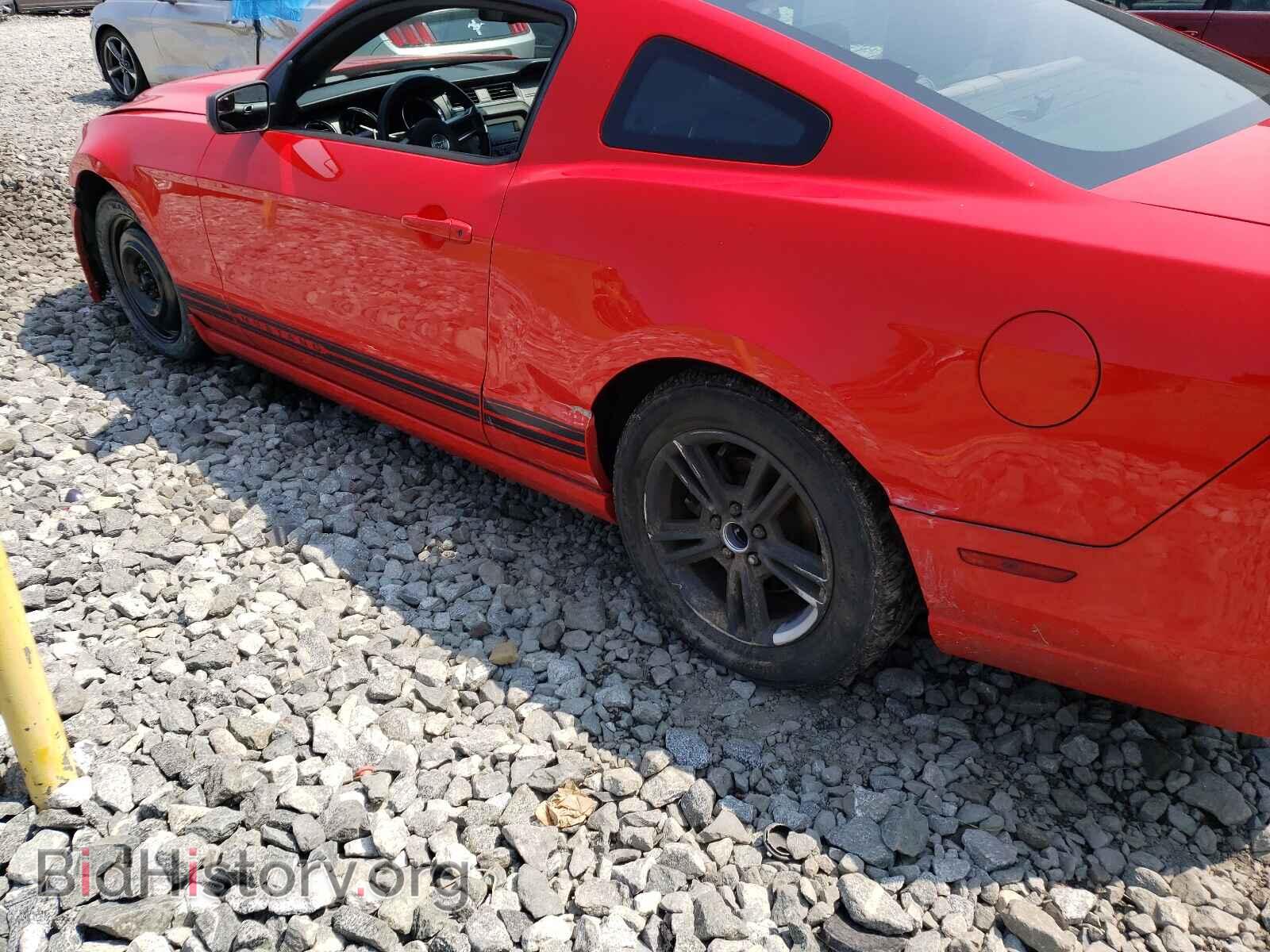 2013 FORD MUSTANG - VIN: 1ZVBP8AM8D5248734 - Фото 9
