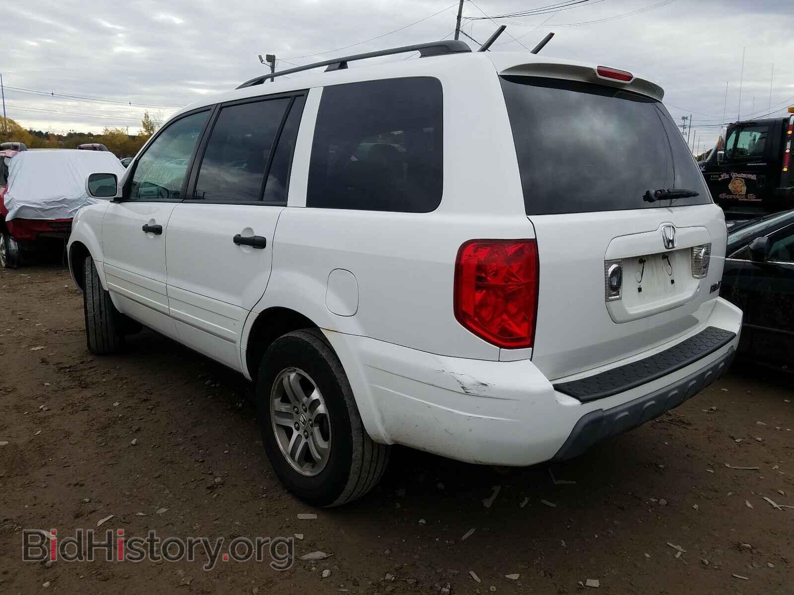 2005 HONDA PILOT - VIN: 2HKYF18665H510976 - Фото 3