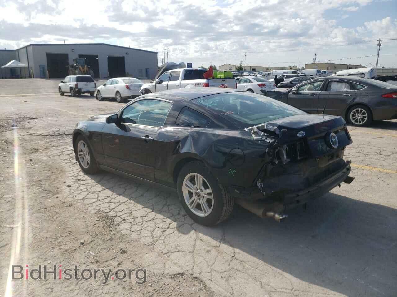 2014 FORD MUSTANG - VIN: 1ZVBP8AM9E5316265 - Фото 3