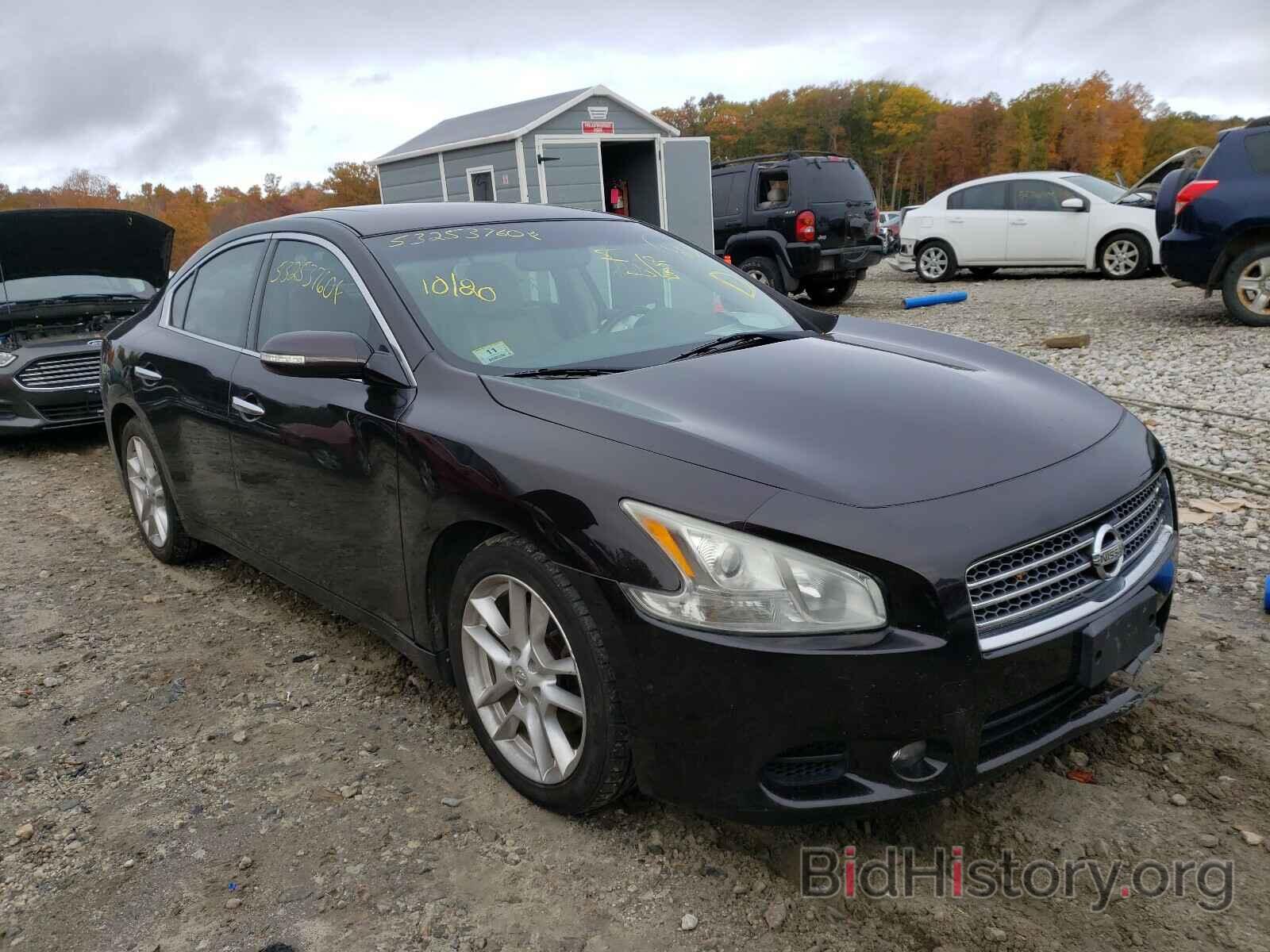 Photo 1N4AA5APXBC855676 - NISSAN MAXIMA 2011