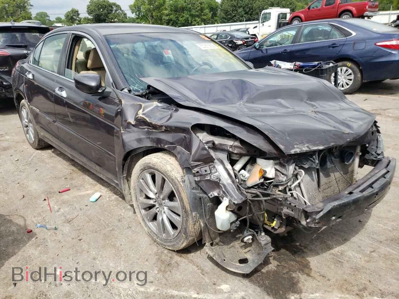 Фотография 1HGCP3F8XBA013134 - HONDA ACCORD 2011